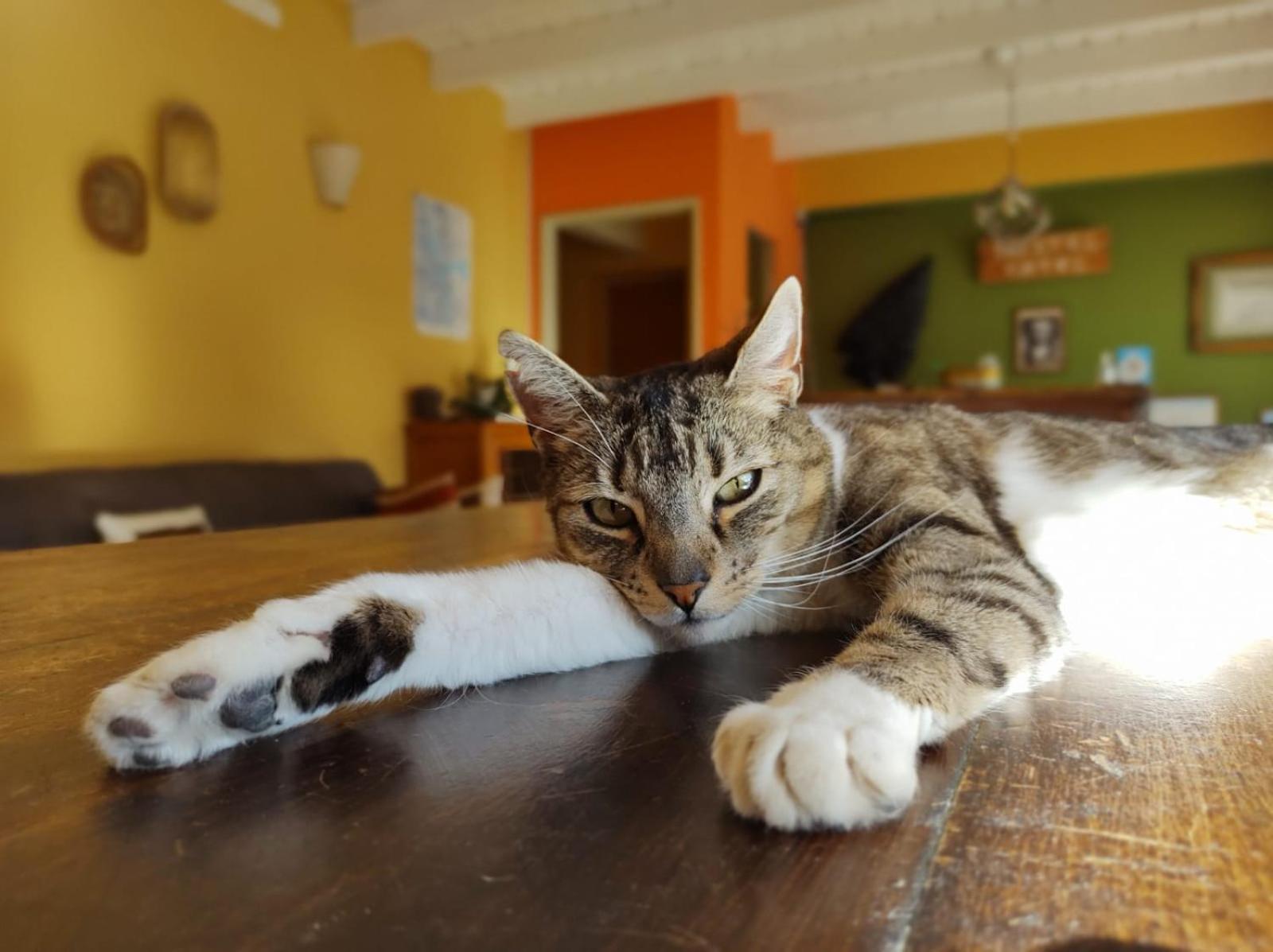 Hostel Yatel El Calafate Zewnętrze zdjęcie